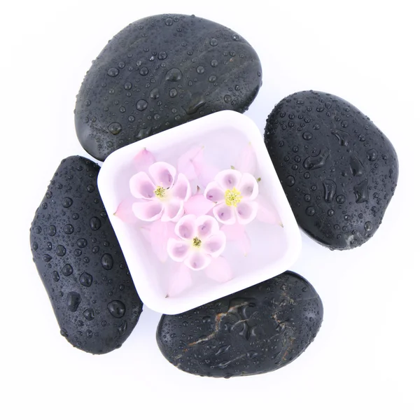 Pedras de spa e flores flutuantes — Fotografia de Stock