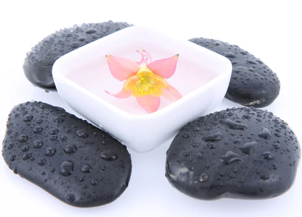 Spa stones and floating flower — Stock Photo, Image