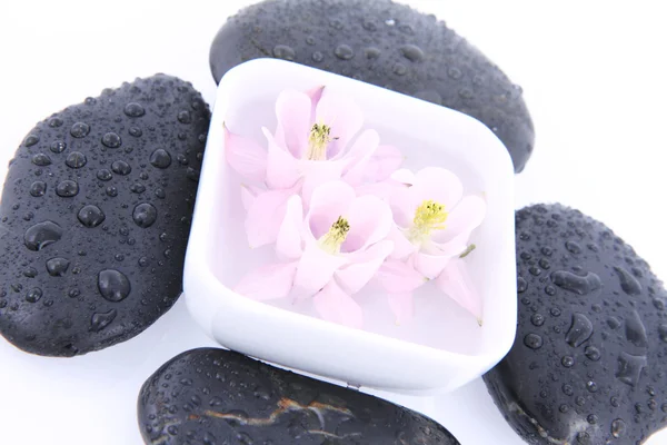 Spa stones and floating flowers — Stock Photo, Image