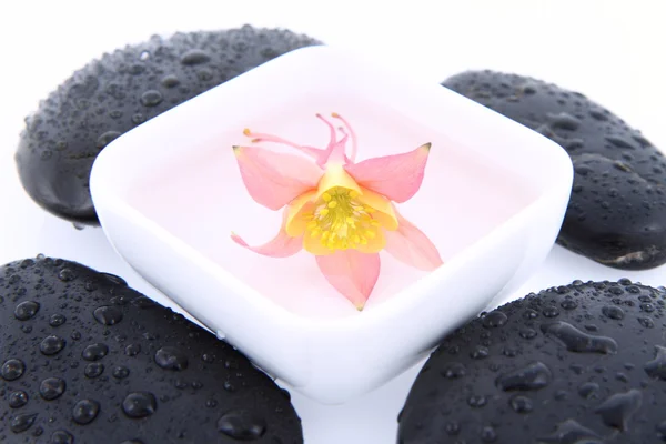 Spa stones and floating flower — Stock Photo, Image