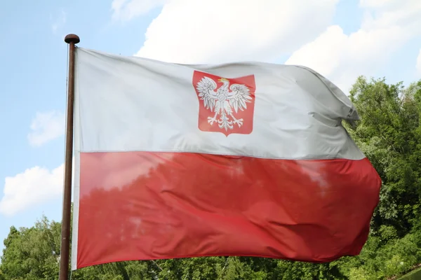Polnische Flagge — Stockfoto