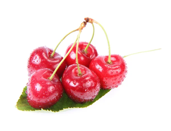 Вишневий фрукти — стокове фото