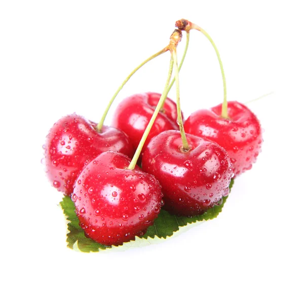 체리 과일 — 스톡 사진