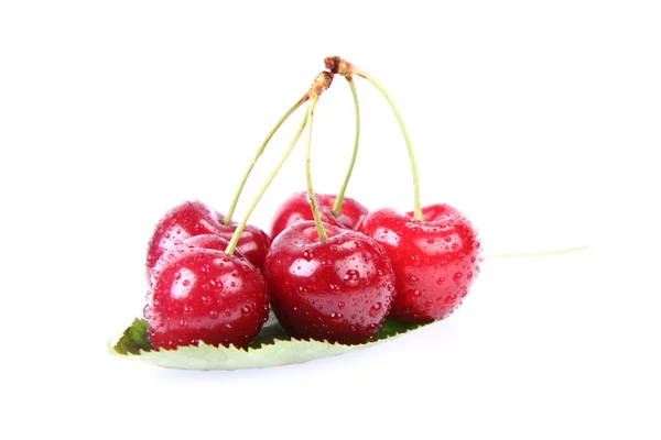 Вишневий фрукти — стокове фото