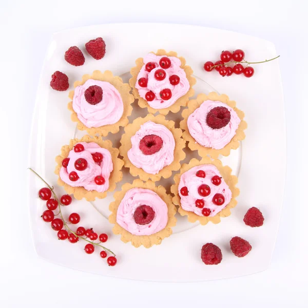 stock image Tartlets