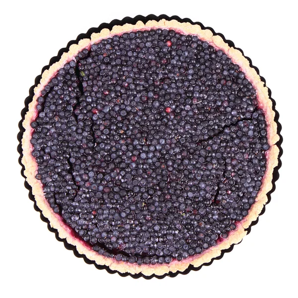 黑莓馅饼 — 图库照片
