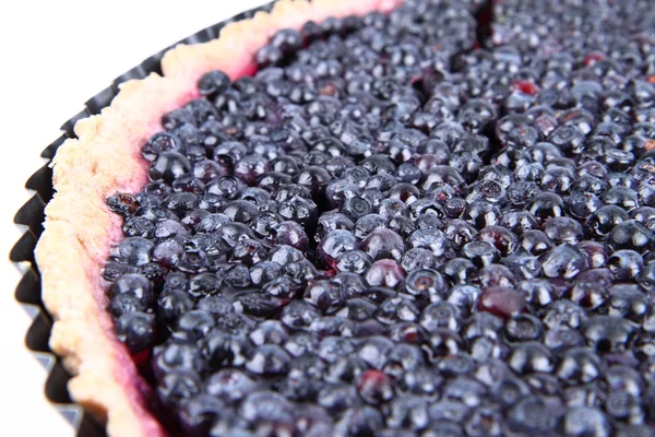 Blueberry Tart — Zdjęcie stockowe