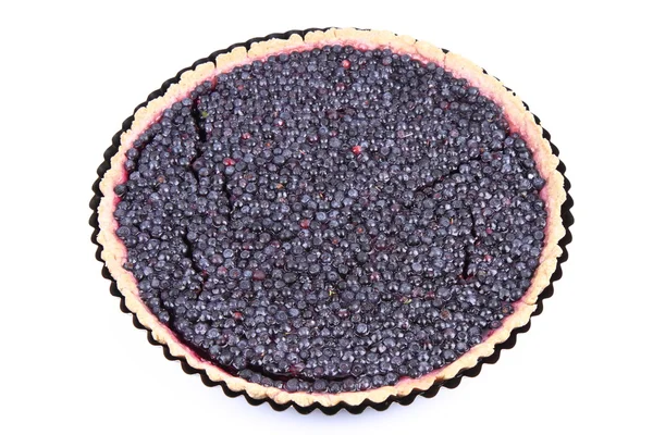 蓝莓馅饼 — 图库照片