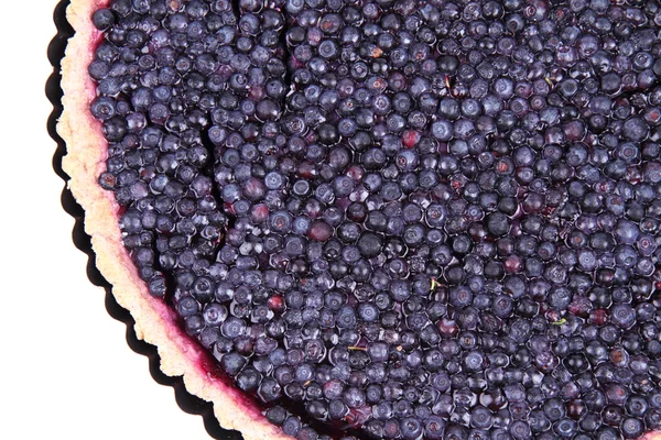 Blueberry Tart — Zdjęcie stockowe