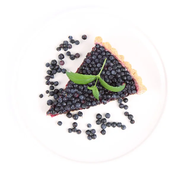 stock image Blueberry Tart