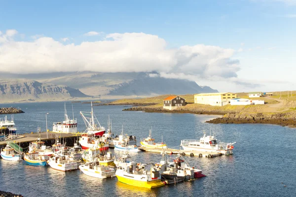 Djupivogur wioska rybacka - Islandia — Zdjęcie stockowe