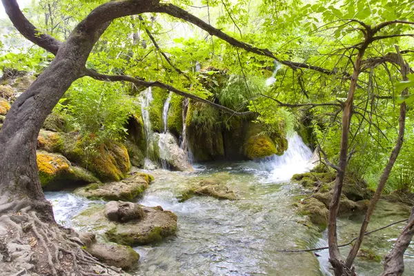 小さな川、プリトビッチェ湖 - クロアチア — ストック写真