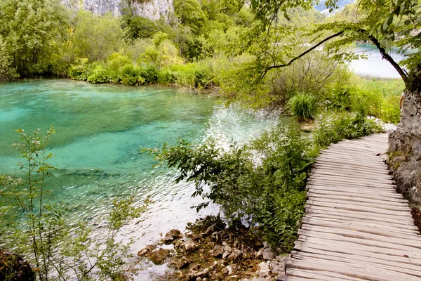 Trä sökvägen i Plitvička lake - Kroatien — Stockfoto
