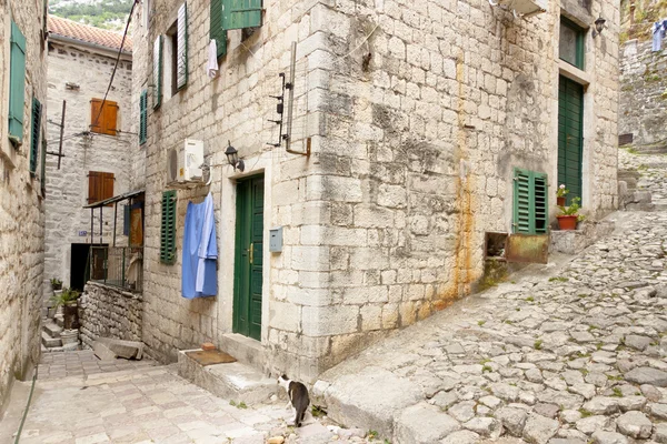 Calle estrecha - casco antiguo de Kotor, Montenegro —  Fotos de Stock