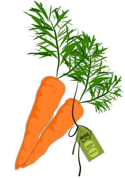 Grande carotte orange et santé - Vecteur — Image vectorielle
