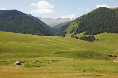 Habitation of the shepherd in mountains clipart