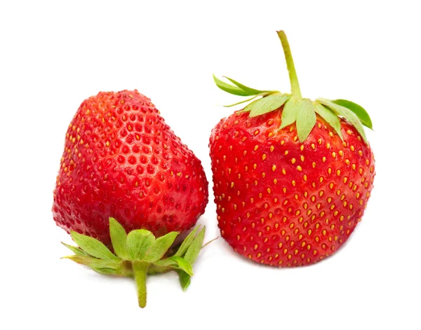 stock image Two berries of a strawberry