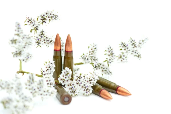 Fighting cartridges — Stock Photo, Image