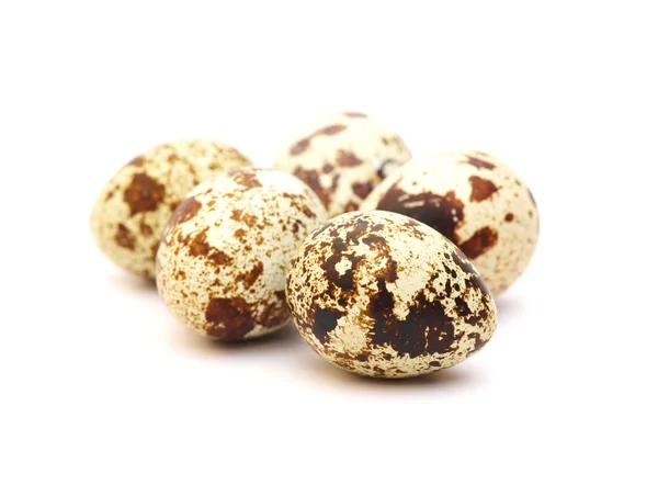 Перепелиные яйца на белом — стоковое фото