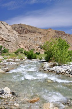 Whitewater nehir manzarası