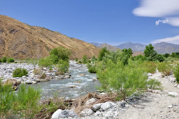 Mirador del río del desierto — Foto de Stock