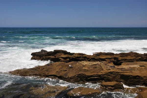 Rugged coastal view — Stock Photo, Image