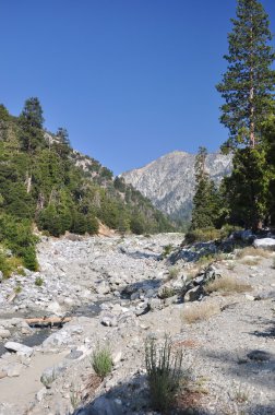 San gorgonio dere