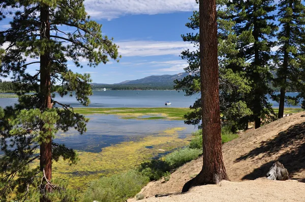 View of Big Bear Lake — Stockfoto