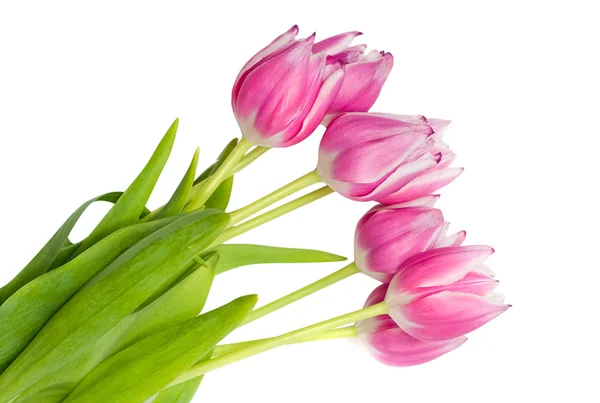 Closeup of bouquet of pink tulips — Stock Photo, Image