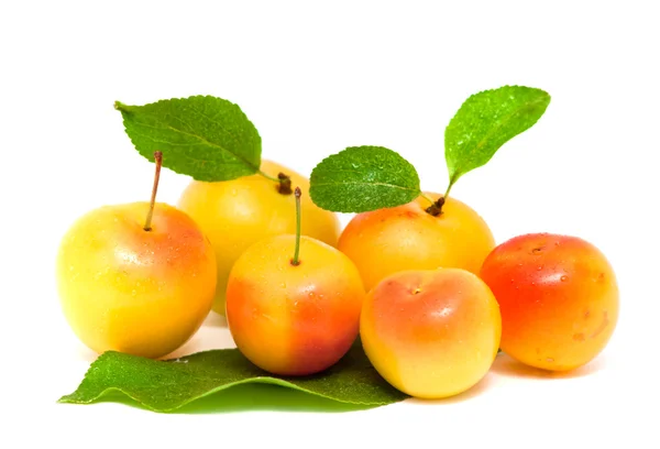Pile of yellow plums with leafs — Stock Photo, Image