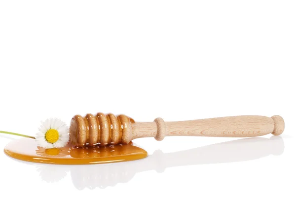 Honey dipper and a daisy in a puddle of honey — Stock Photo, Image