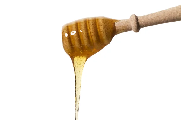Med z naběračky medu — Stock fotografie