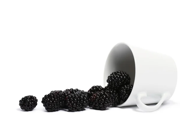 黑莓从落滚杯 — 图库照片