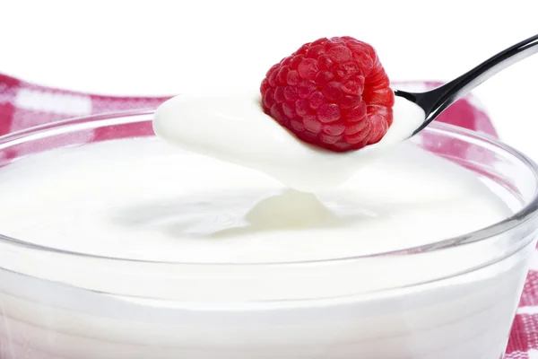 Малина на ложке с йогуртом — стоковое фото