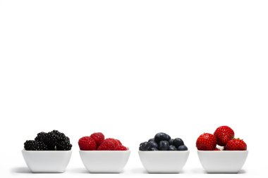 Row of wild berries in bowls clipart