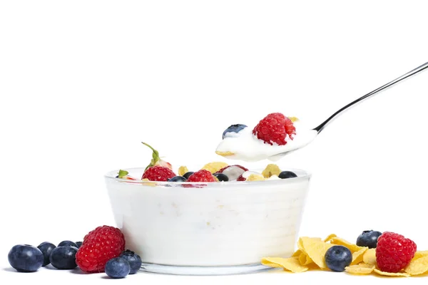 Joghurt mit Waldbeeren — Stockfoto