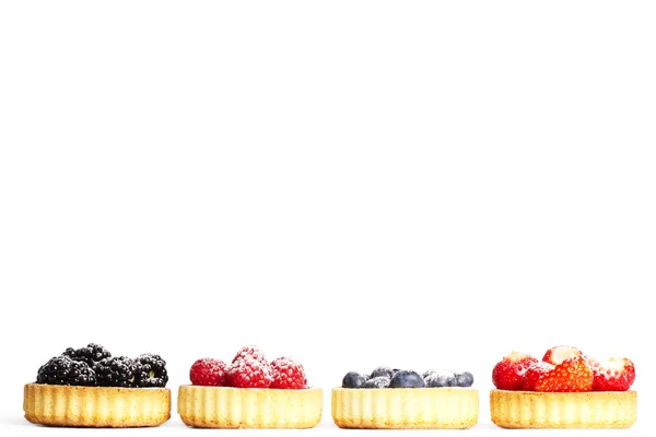 Row of tartlets with sugar covered wild berries — Stock Photo, Image