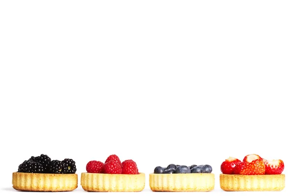 Row of tartlets with wild berries — Stock Photo, Image
