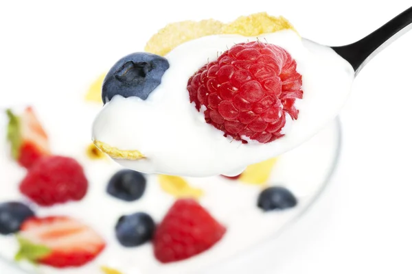 Sked med yoghurt blåbär och en hallon — Stockfoto