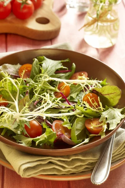 Salad with tomatoes — Stock Photo, Image