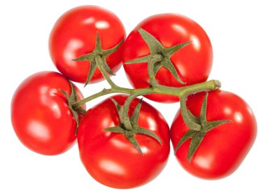 Set of ripe and juicy red tomatoes. It is isolated on white back clipart