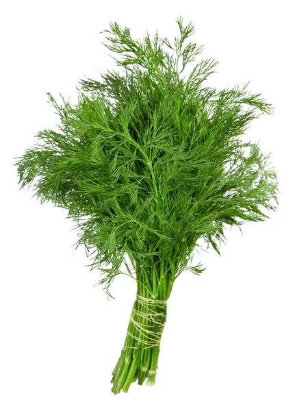 stock image Fennel over white background