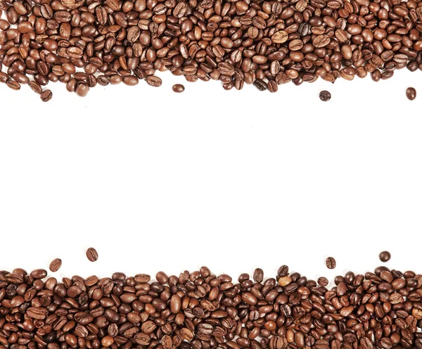 Listra branca dentro de grãos de café torrados marrons — Fotografia de Stock