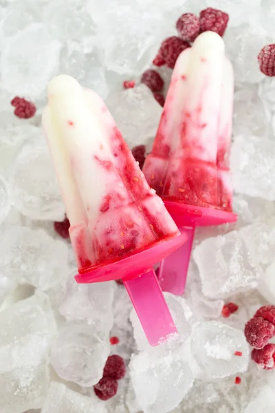 Resfreshing raspberry ijs ijslollys — Stockfoto