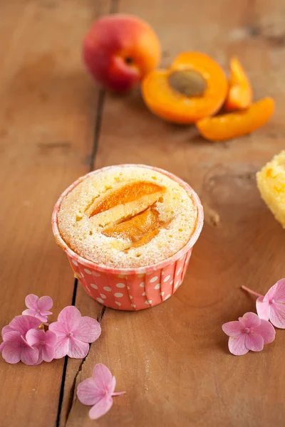 Apricot cupcakes — Stock Photo, Image