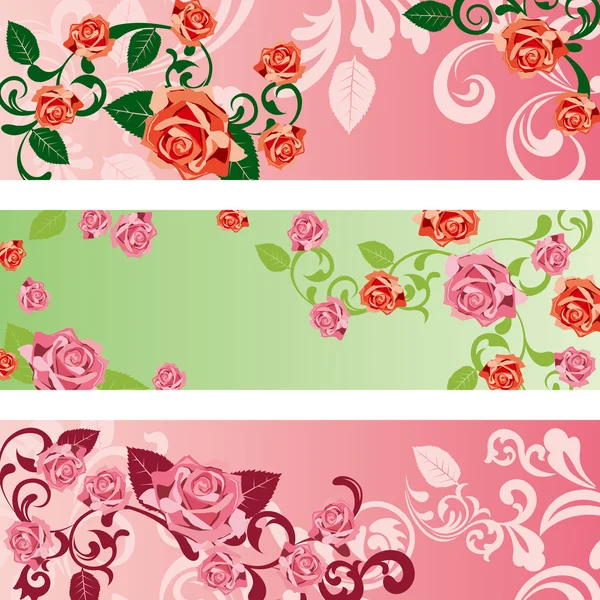 Rose banners set — Stock Vector
