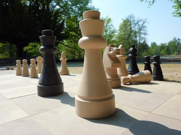 Σκάκι στο πάρκο Φωτογραφία Αρχείου