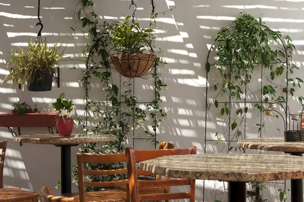Venkovní Semi tropické café na zeď v ranním světle — Stock fotografie