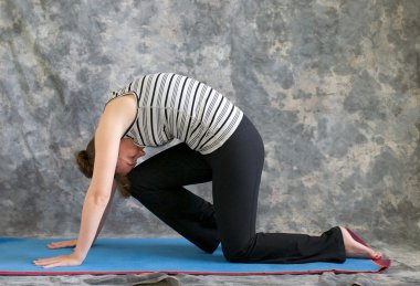 Yoga duruş marjaryasana varyasyon veya güçlü kedi po yapıyor kadın