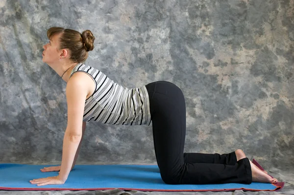 Mulher fazendo postura de Yoga Bitilasana ou pose de vaca — Fotografia de Stock